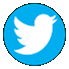 Image result for twitter logo png